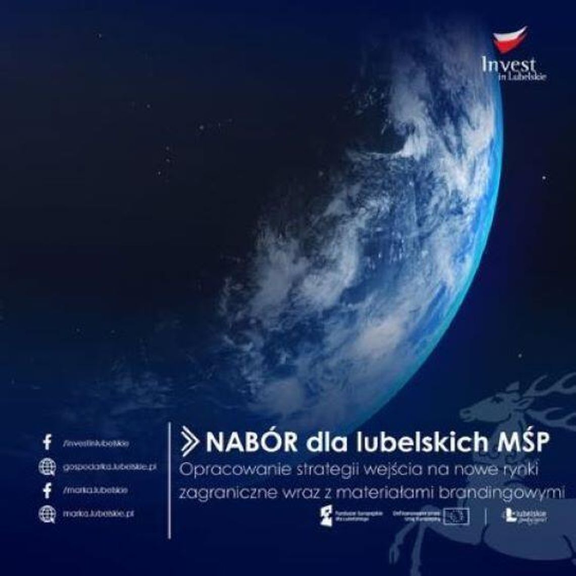 granatowe tło, kula ziemska, opis : Nabór dla lubelskich MŚP