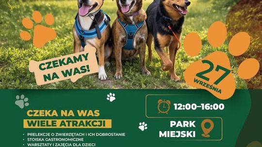 Światowy Dzień Zwierząt już 27 września!