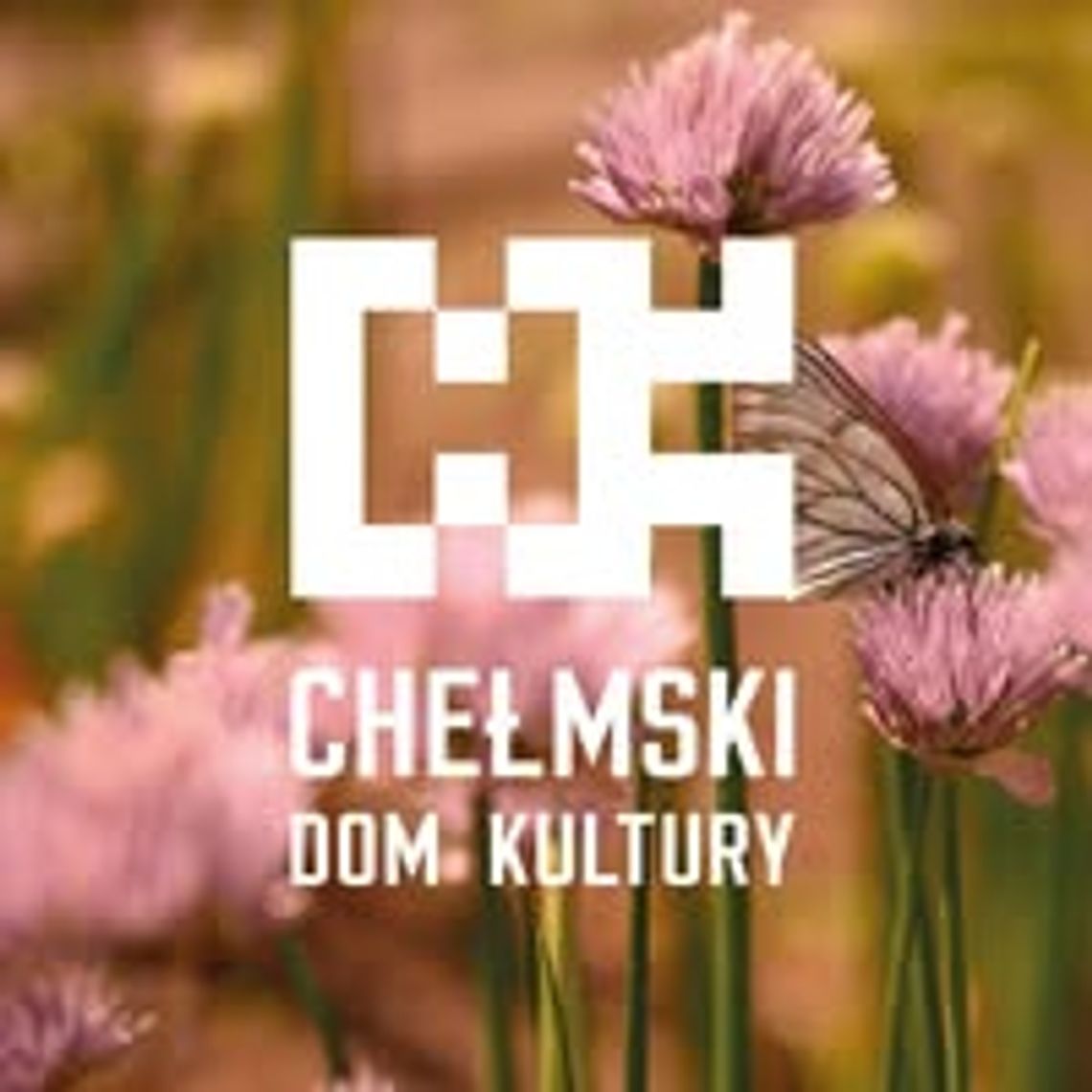 PIKNIK HISTORYCZNY z BOLESŁAWEM CHROBRYM. „PIERWSZY W KORONIE!” logo CHDK, kwiaty w tle, łąka