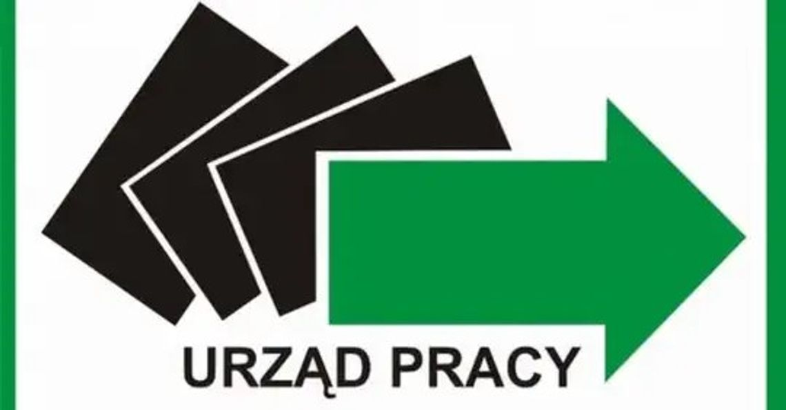 Targi pracy w Chełmie!